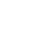 IT/Software Services